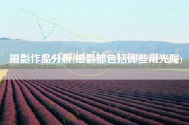 摄影作品分析(摄影都包括哪些用光呢)