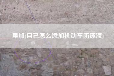 里加(自己怎么添加机动车防冻液)