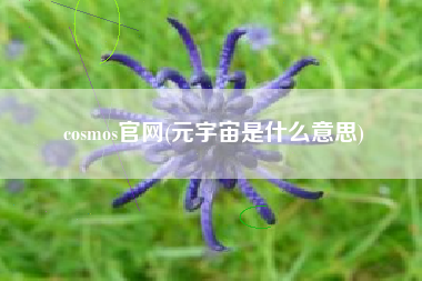 cosmos官网(元宇宙是什么意思)