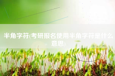 半角字符(考研报名使用半角字符是什么意思)
