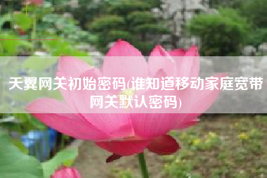 天翼网关初始密码(谁知道移动家庭宽带网关默认密码)