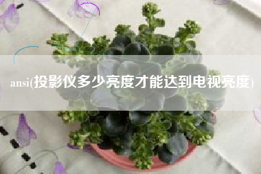 ansi(投影仪多少亮度才能达到电视亮度)