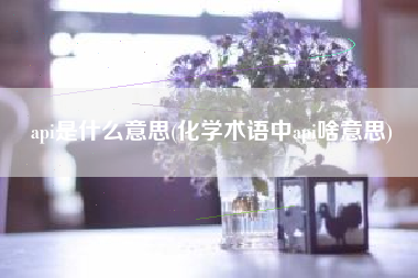 api是什么意思(化学术语中api啥意思)