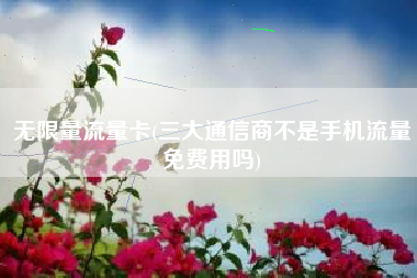 无限量流量卡(三大通信商不是手机流量免费用吗)