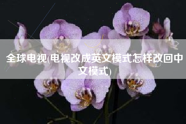 全球电视(电视改成英文模式怎样改回中文模式)