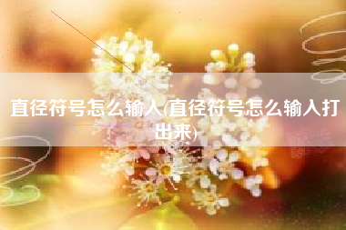 直径符号怎么输入(直径符号怎么输入打出来)