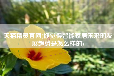天猫精灵官网(你觉得智能家居未来的发展趋势是怎么样的)