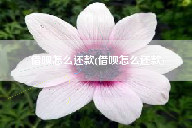 借呗怎么还款(借呗怎么还款)