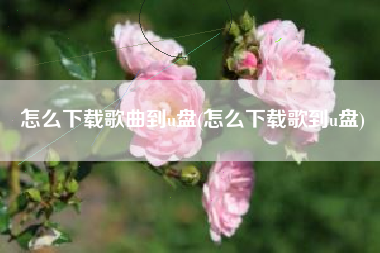 怎么下载歌曲到u盘(怎么下载歌到u盘)