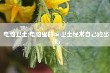 电脑卫士(电脑里的360卫士经常自己跑出来)