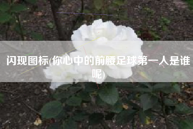 闪现图标(你心中的前腰足球第一人是谁呢)