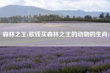 森林之王(欲钱买森林之王的动物的生肖)