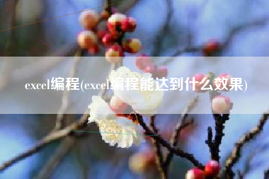 excel编程(excel编程能达到什么效果)