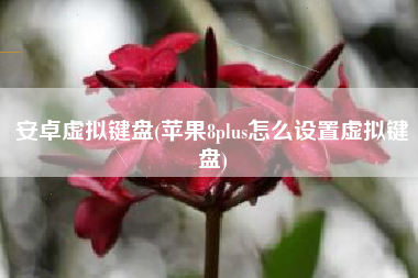 安卓虚拟键盘(苹果8plus怎么设置虚拟键盘)