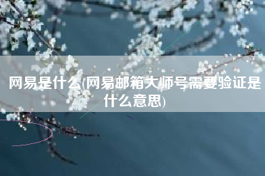 网易是什么(网易邮箱大师号需要验证是什么意思)