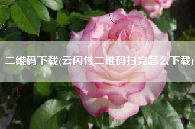 二维码下载(云闪付二维码扫完怎么下载)
