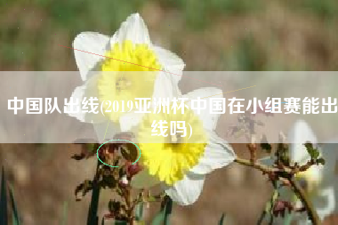 中国队出线(2019亚洲杯中国在小组赛能出线吗)