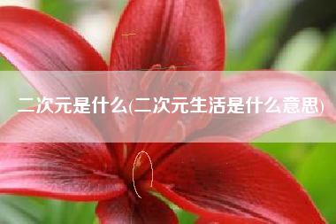 二次元是什么(二次元生活是什么意思)