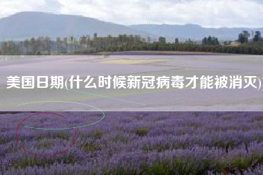 美国日期(什么时候新冠病毒才能被消灭)