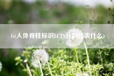 ls(人体脊柱标识LCTS分别代表什么)