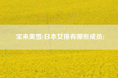 宝来美雪(日本女排有哪些成员)