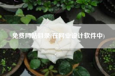 免费网站目录(在网业设计软件中)