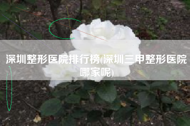 深圳整形医院排行榜(深圳三甲整形医院哪家呢)