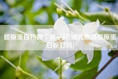 胶原蛋白粉哪个牌子好(哺乳期喝胶原蛋白粉好吗)