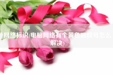 网络标识(电脑网络有个黄色感叹号怎么解决)