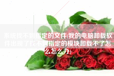 系统找不到指定的文件(我的电脑卸载软件出现了找不到指定的模块卸载不了怎么怎么办)