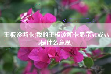 主板诊断卡(我的主板诊断卡显示AC或AA是什么意思)