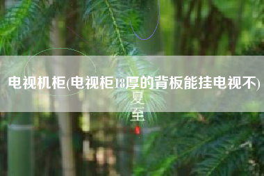 电视机柜(电视柜18厚的背板能挂电视不)