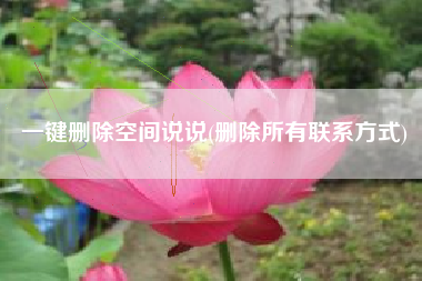 一键删除空间说说(删除所有联系方式)