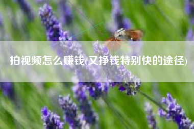 拍视频怎么赚钱(又挣钱特别快的途径)