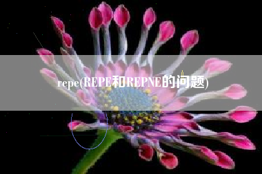 repe(REPE和REPNE的问题)
