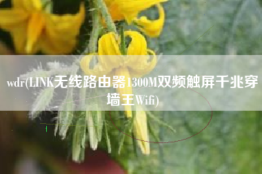 wdr(LINK无线路由器1300M双频触屏千兆穿墙王Wifi)