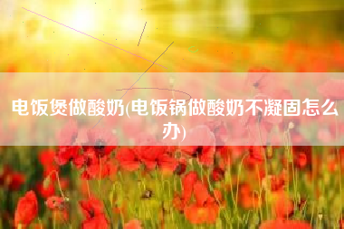 电饭煲做酸奶(电饭锅做酸奶不凝固怎么办)