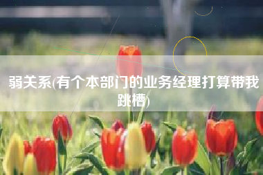弱关系(有个本部门的业务经理打算带我跳槽)