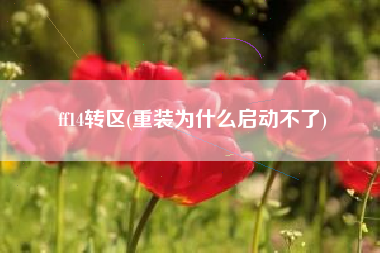 ff14转区(重装为什么启动不了)