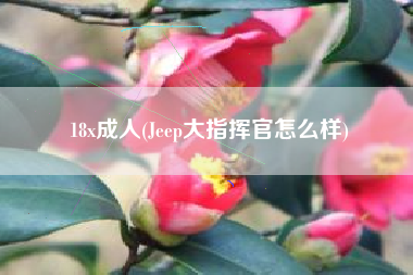 18x成人(Jeep大指挥官怎么样)