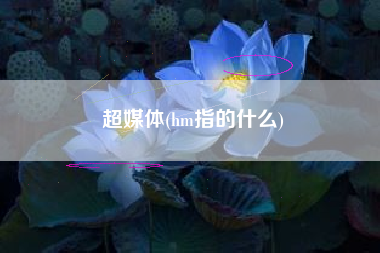 超媒体(hm指的什么)