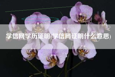 学信网学历证明(学信网证明什么意思)