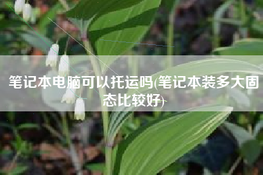笔记本电脑可以托运吗(笔记本装多大固态比较好)