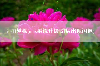 ios11越狱(max系统升级151后出现闪退)