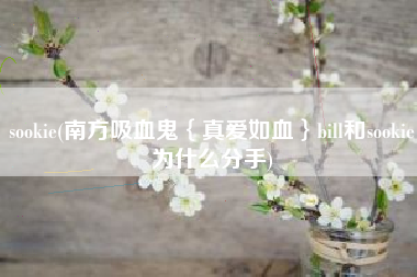 sookie(南方吸血鬼{真爱如血}bill和sookie为什么分手)
