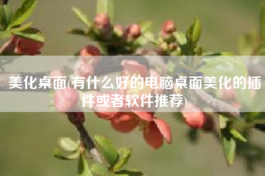 美化桌面(有什么好的电脑桌面美化的插件或者软件推荐)