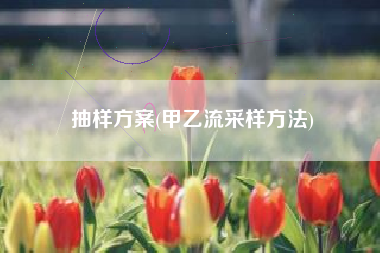 抽样方案(甲乙流采样方法)
