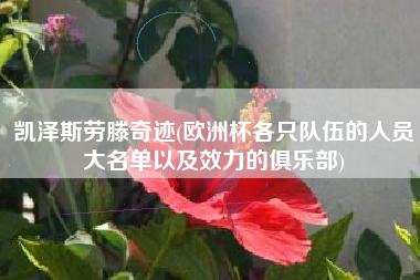 凯泽斯劳滕奇迹(欧洲杯各只队伍的人员大名单以及效力的俱乐部)