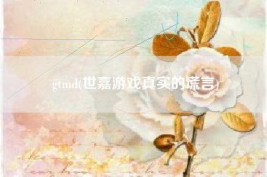 gtmd(世嘉游戏真实的谎言)
