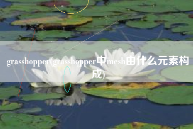 grasshopper(grasshopper中mesh由什么元素构成)